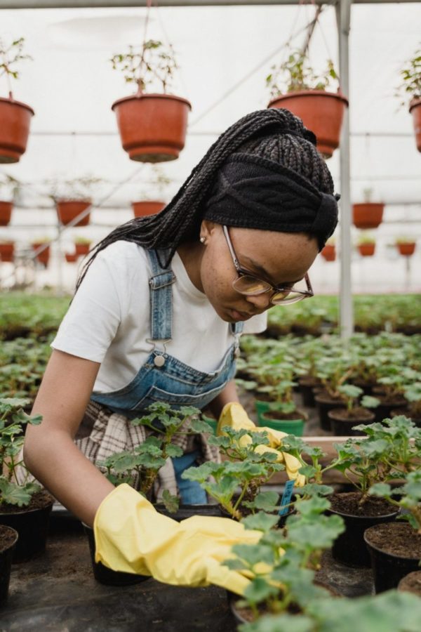 African American woman wearing glasses and overall uses yellow gloves to pat soil in garden.